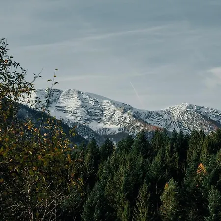 Bergblickapartments Appartement *