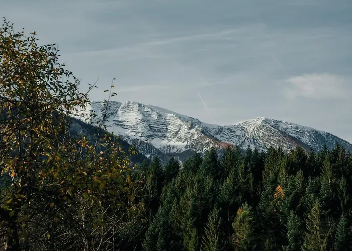 Bergblickapartments 아파트 *